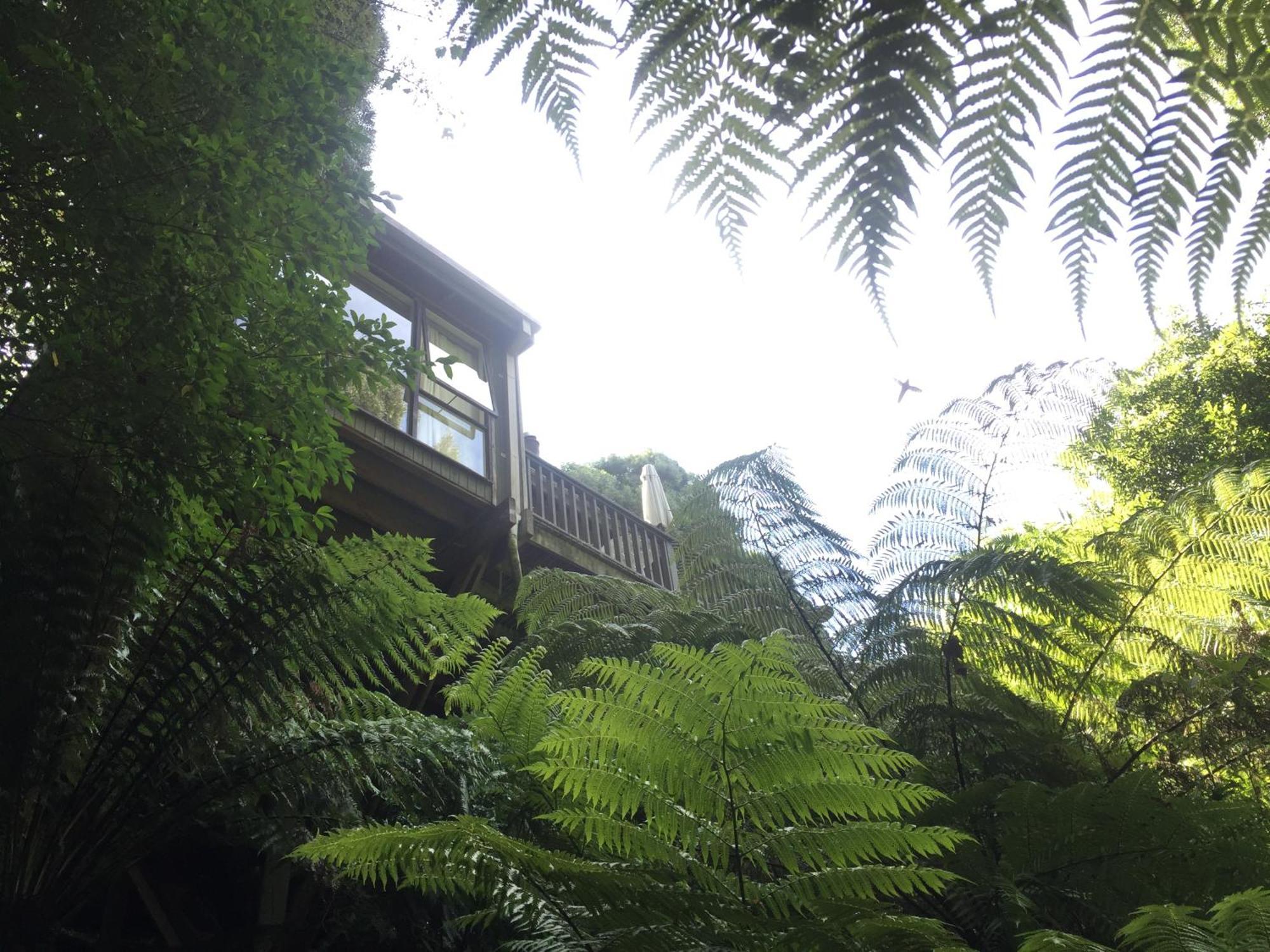 Sassafras Treehouse Private Home In The Dandenong Ranges, Victoria Eksteriør billede