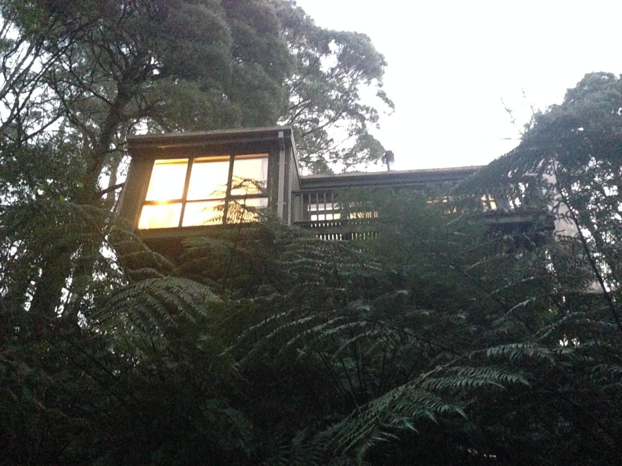 Sassafras Treehouse Private Home In The Dandenong Ranges, Victoria Eksteriør billede