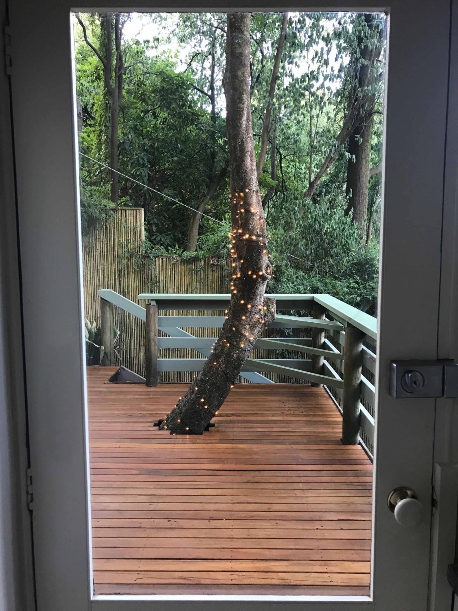 Sassafras Treehouse Private Home In The Dandenong Ranges, Victoria Eksteriør billede