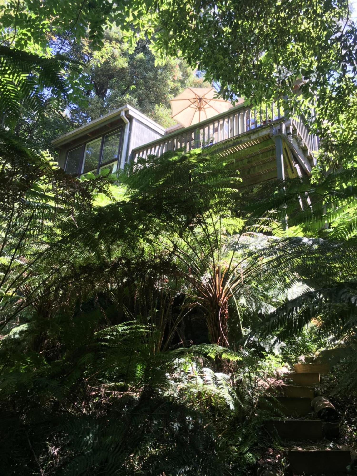 Sassafras Treehouse Private Home In The Dandenong Ranges, Victoria Eksteriør billede