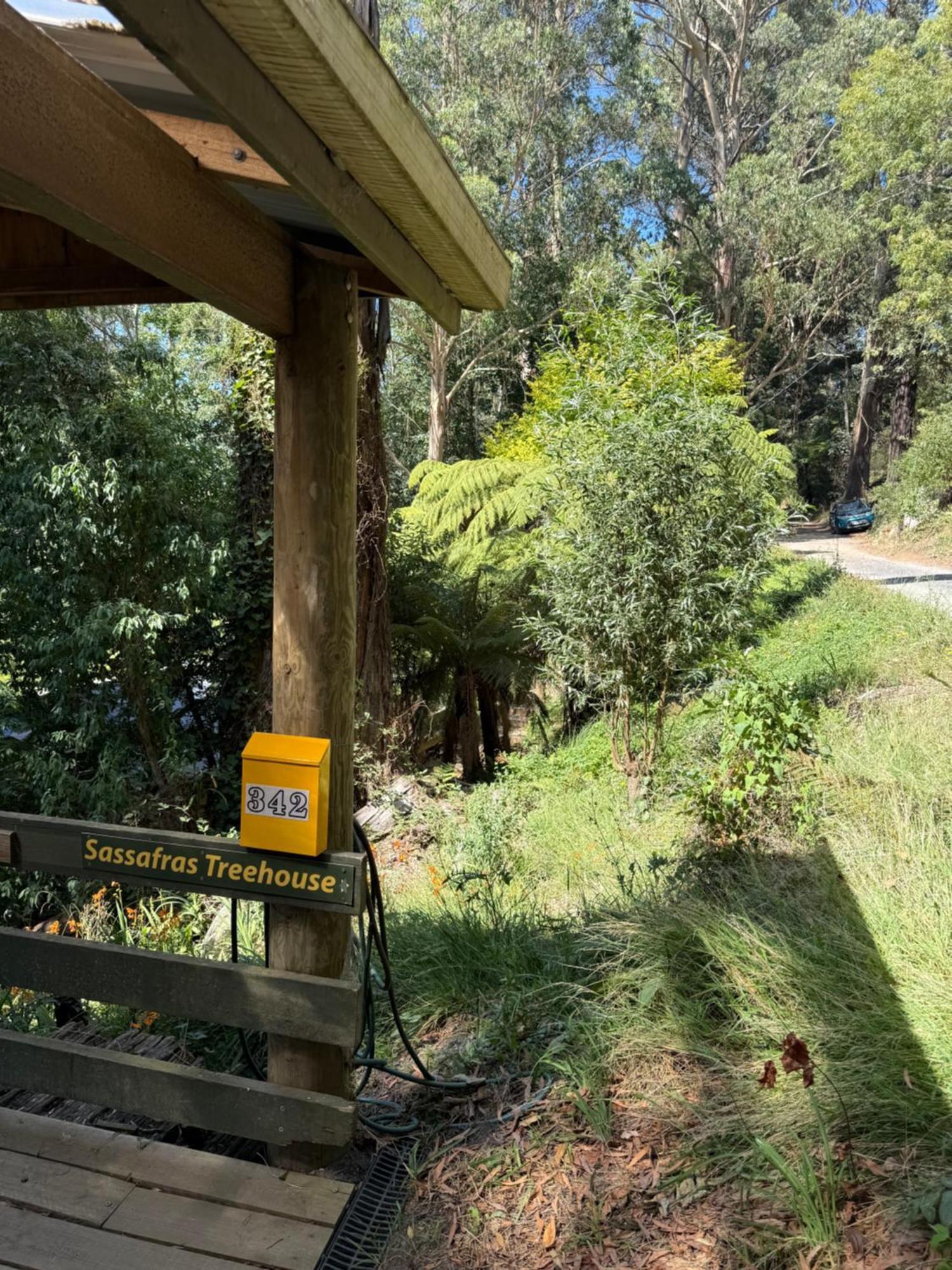 Sassafras Treehouse Private Home In The Dandenong Ranges, Victoria Eksteriør billede